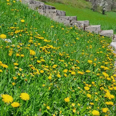 La Finestra Sui Monti * Limone Piemonte