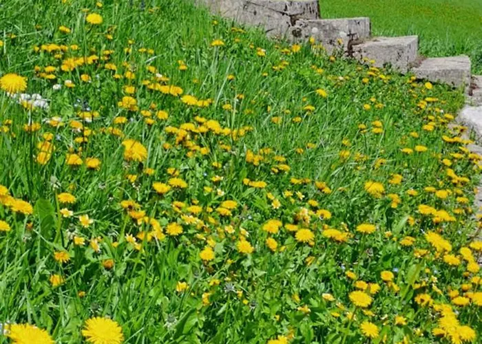 La Finestra Sui Monti * Limone Piemonte